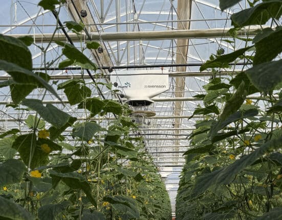 J. Huete Greenhouses completed a 3.2-ha high-tech greenhouse in Almería, one of Europe's most important horticultural production regions.