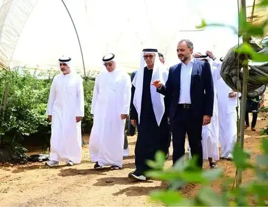 Elite Agro Holding, through its Moroccan subsidiary Elite Harvest Maroc, has inaugurated its seventh farm in Morocco, a 200-hectare facility in Kenitra dedicated to premium blueberry and raspberry production. The farm uses advanced irrigation systems and modern agricultural technologies to support efficient, high-quality, and sustainable farming. The inauguration was attended by Dr Obaid Saif Al Zaabi, Chairman of the Arab Authority for Agricultural Investment and Development, alongside local officials, partners, and community members.