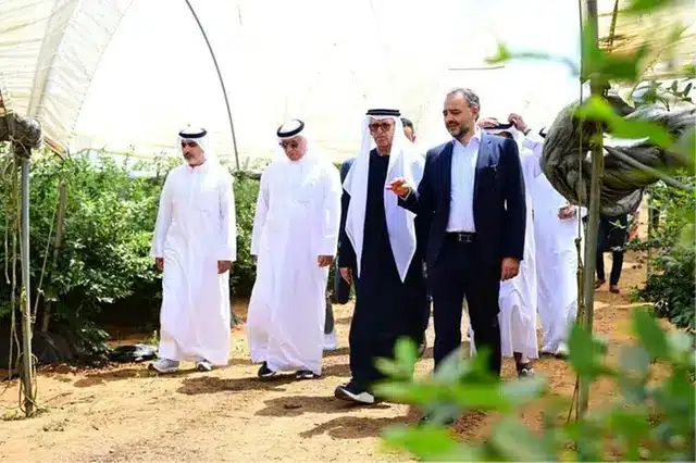 Elite Agro Holding, through its Moroccan subsidiary Elite Harvest Maroc, has inaugurated its seventh farm in Morocco, a 200-hectare facility in Kenitra dedicated to premium blueberry and raspberry production. The farm uses advanced irrigation systems and modern agricultural technologies to support efficient, high-quality, and sustainable farming. The inauguration was attended by Dr Obaid Saif Al Zaabi, Chairman of the Arab Authority for Agricultural Investment and Development, alongside local officials, partners, and community members.