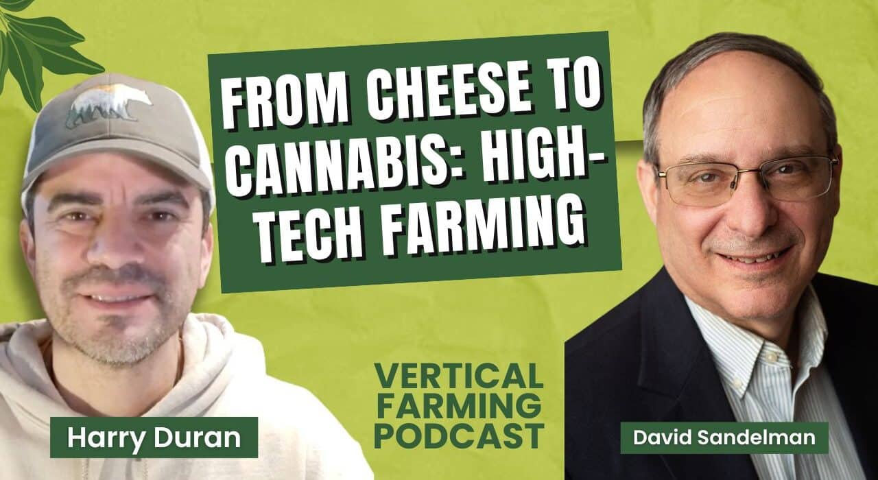 David Sandelman, COO of Canachold, did not set out to work in cannabis. Speaking on the Vertical Farming Podcast, Sandelman traced the origin of the company's Vapor Troll technology to his time running a Vermont inn and restaurant, where a commitment to local sourcing brought him into close contact with regional cheesemakers who were losing the battle against their own aging rooms.
