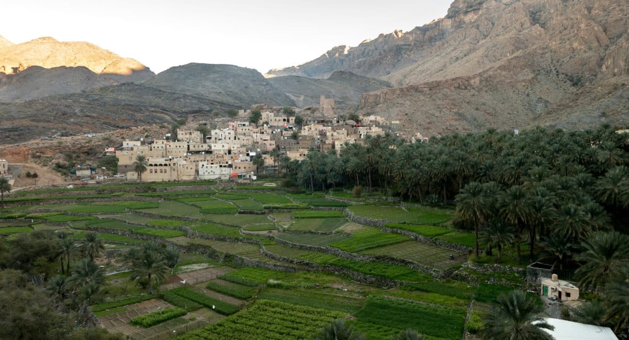 Agriculture in Oman has two natural growing zones rarely found in the Gulf. Here is why that structural advantage now matters for investment.