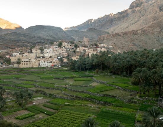 Agriculture in Oman has two natural growing zones rarely found in the Gulf. Here is why that structural advantage now matters for investment.