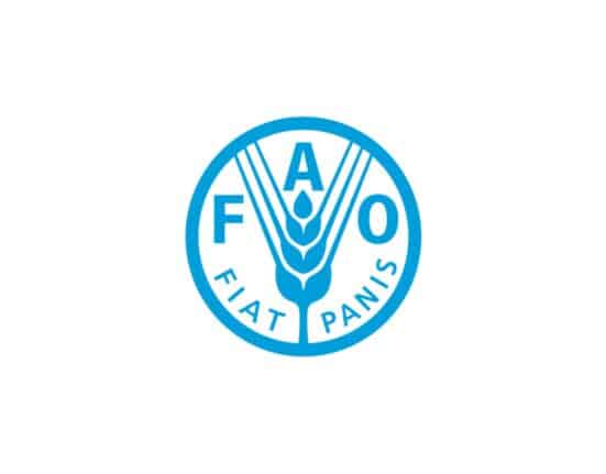 FAO hormuz crisis