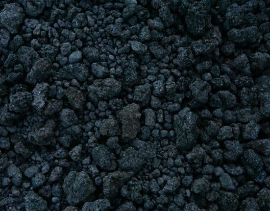US Agrichar announced that its biochar has achieved USDA organic certification, making it the first produced in the state of Colorado.