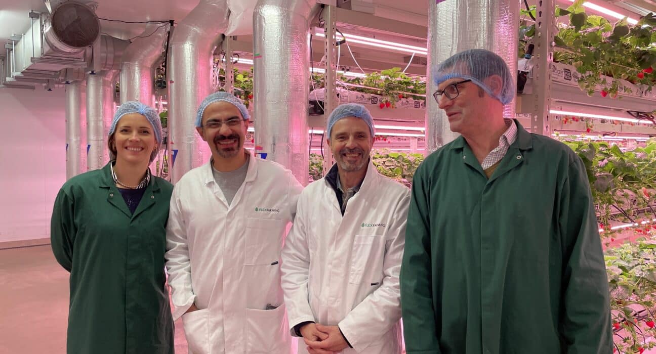 The EMQ+ consortium, a DEFRA-funded research project delivered through Innovate UK, has added InnoPhyte Consulting and Flex Farming to expand its capabilities in strawberry propagation within Total Controlled Environment Agriculture (TCEA).
