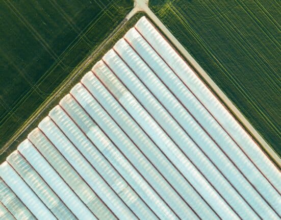 Between 2022 and mid-2026, 32 companies in the controlled environment agriculture (CEA) industry filed for bankruptcy, entered restructuring, or ceased operations. The first wave had a clear explanation: rising interest rates, energy price spikes, the withdrawal of cheap capital. But those conditions began to ease in 2025, and the failures continued. Distress events now account for nearly 10% of all tracked industry activity in CEA — up from under 2% in 2022. Something structural is doing the work the macro environment used to do.