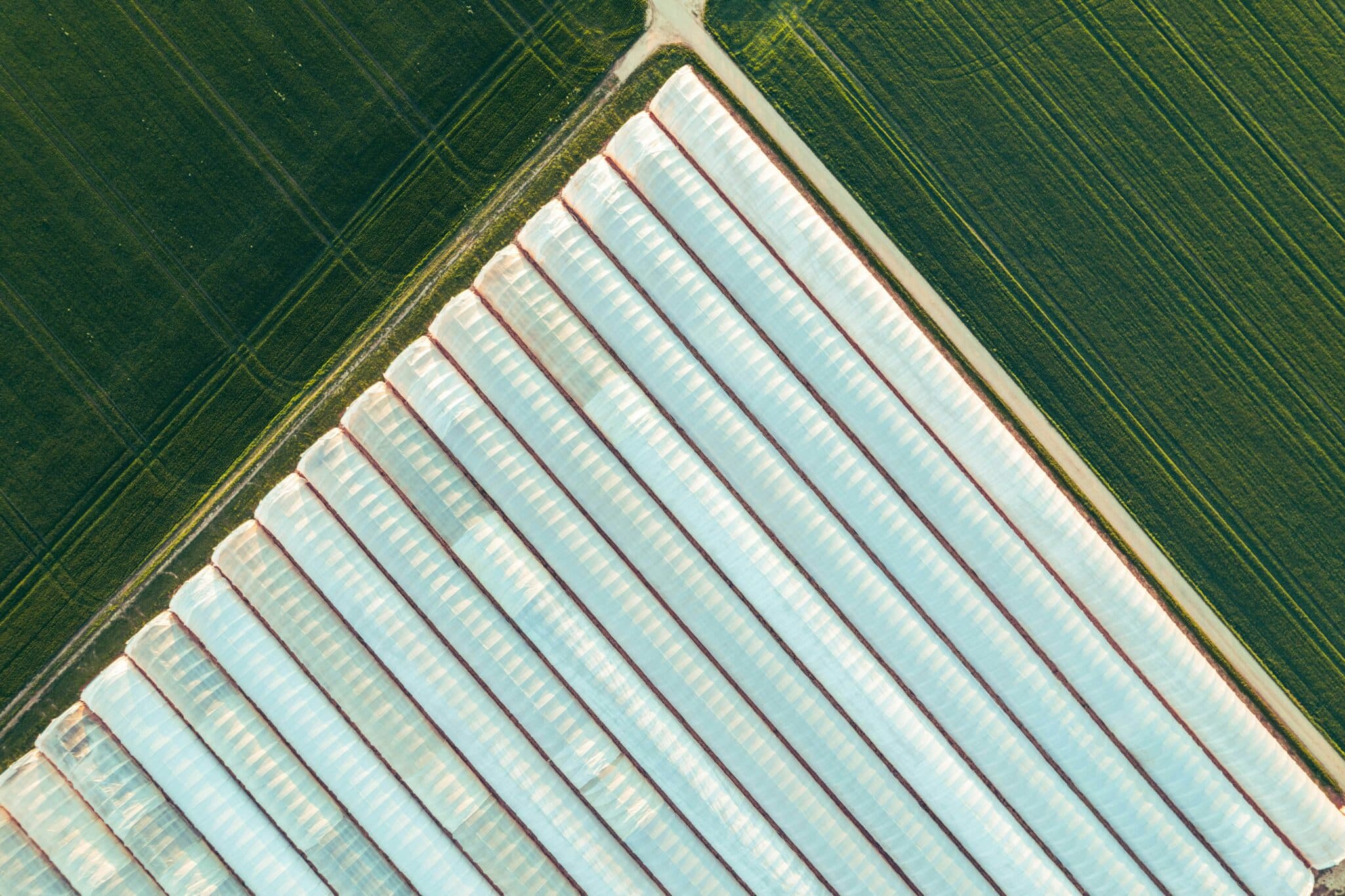 Controlled Environment Agriculture Business Model | iGrowNews