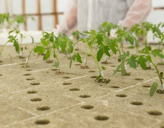 Ask most greenhouse growers how they built out their facility and the answer follows a familiar pattern: one company for construction, a different one for climate control, another for irrigation and water management, a specialist for lighting, and a software provider somewhere in the mix. The result is the opposite of integrated greenhouse growing systems — each vendor delivered their component, but no one was responsible for how the pieces fit together. The grower absorbed that cost themselves: in time, in troubleshooting, and in the gaps between systems that were never designed to speak to each other.