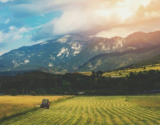 Europe AgTech investment is leading at the early-stage level in 2026. Germany hit 10 stories from zero. Here's why the shift is structural, not cyclical.