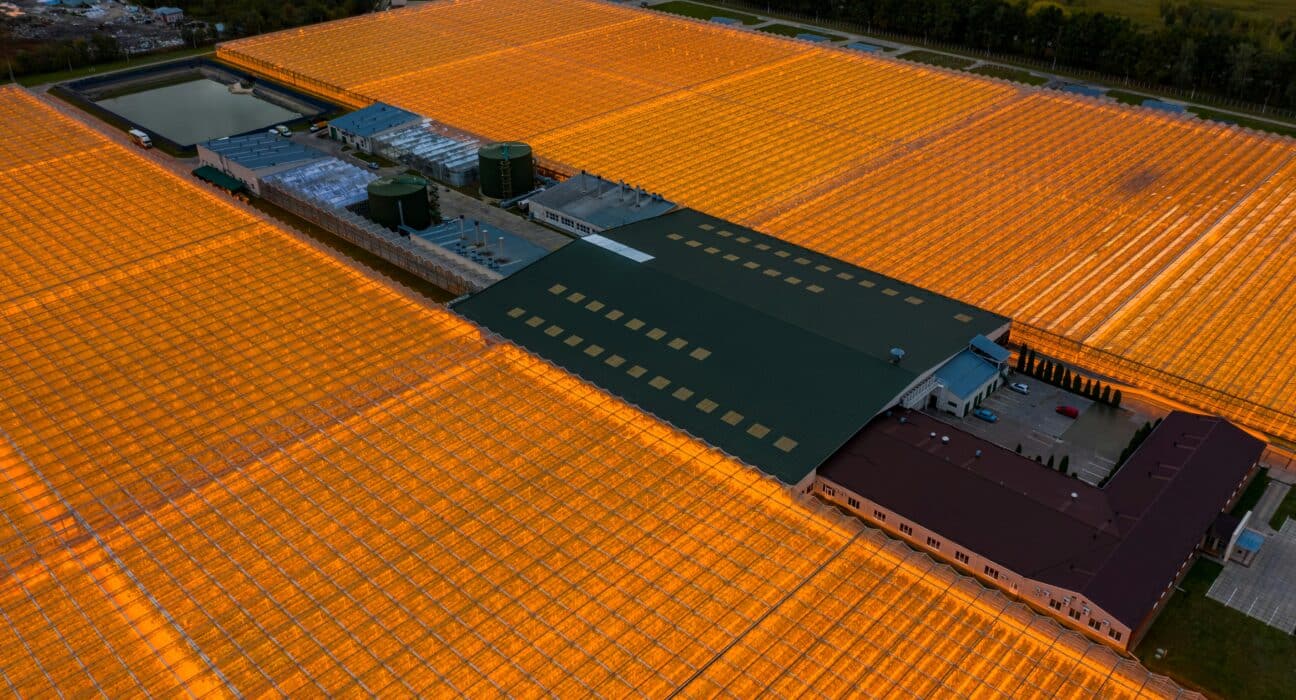 AI tools are letting individual growers build what CEA farm management software companies charge subscriptions for. Here is what that means.