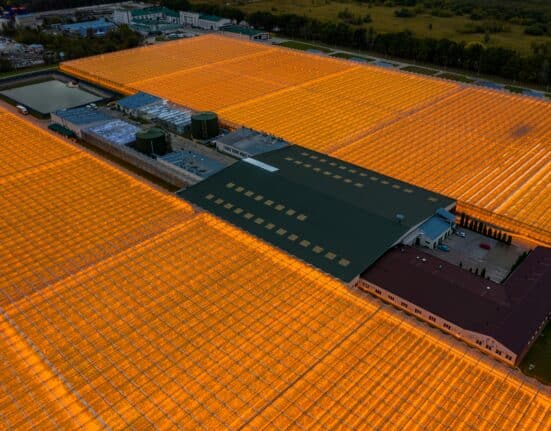 AI tools are letting individual growers build what CEA farm management software companies charge subscriptions for. Here is what that means.