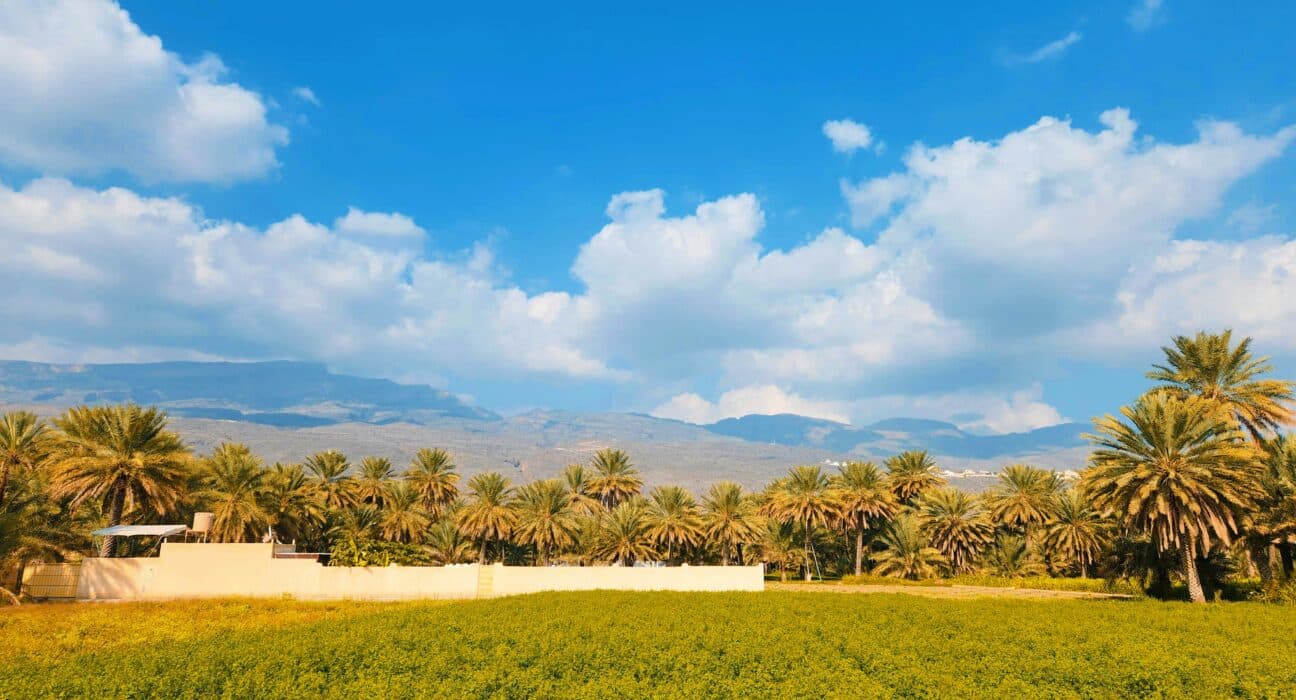 Fertilizer production in Oman has long operated below the radar. The disruption to regional nitrogen supply since early 2026 has changed that.