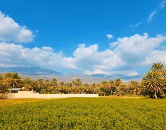 Fertilizer production in Oman has long operated below the radar. The disruption to regional nitrogen supply since early 2026 has changed that.