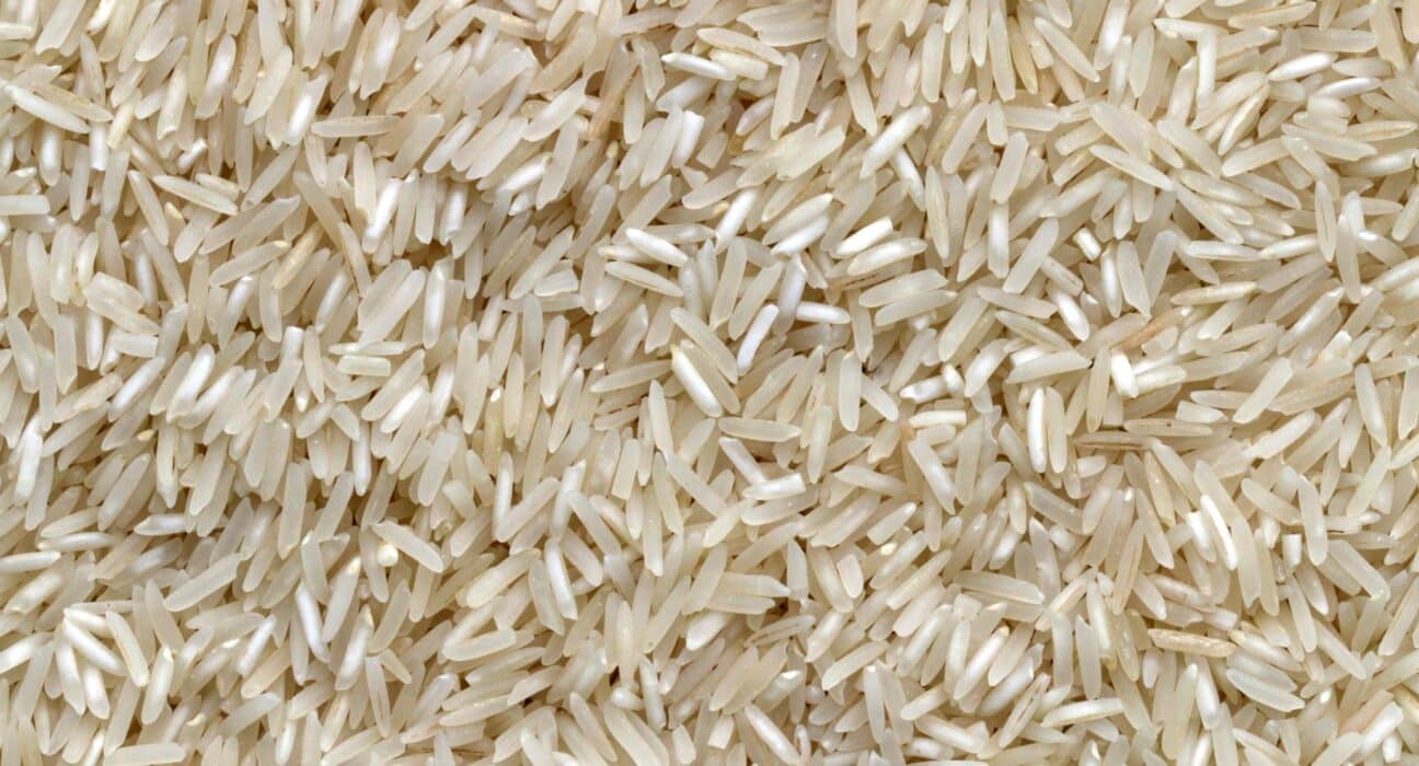 A research team led by Professor Geupil Jang at Chonnam National University in South Korea has identified a rice gene, OsFeSOD3, that performs two distinct functions: protecting plants from drought-induced cellular damage and regulating the development of chloroplasts, the organelles responsible for photosynthesis. The findings, published in the Plant Biotechnology Journal (Volume 24, Issue 4, 2026), could have significant implications for developing rice varieties that maintain productivity under water stress.