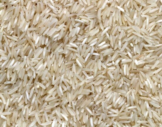 A research team led by Professor Geupil Jang at Chonnam National University in South Korea has identified a rice gene, OsFeSOD3, that performs two distinct functions: protecting plants from drought-induced cellular damage and regulating the development of chloroplasts, the organelles responsible for photosynthesis. The findings, published in the Plant Biotechnology Journal (Volume 24, Issue 4, 2026), could have significant implications for developing rice varieties that maintain productivity under water stress.