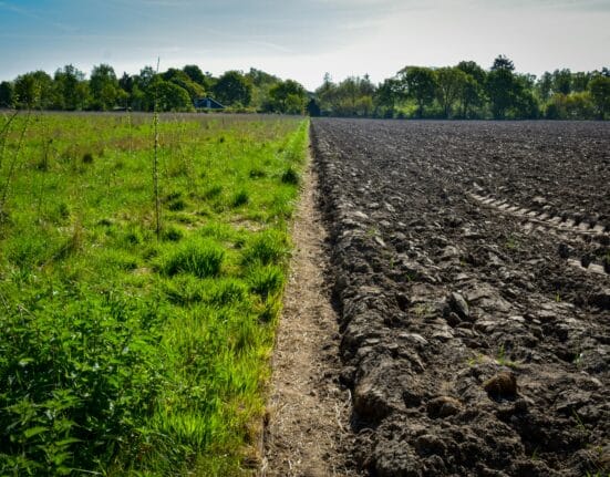 President Donald J. Trump signed an Executive Order on June 25, 2026, directing the EPA, USDA, and Department of Health and Human Services to promote regenerative agriculture practices, advance precision agriculture technologies, and reduce the regulatory burden on farmers seeking to modernise their operations. The order frames American farmers and ranchers as essential partners in the administration's Make America Healthy Again agenda, and builds on what the White House describes as a combined federal investment of over $1 billion already committed across HHS, USDA, and EPA to accelerate farm modernisation and food supply security.