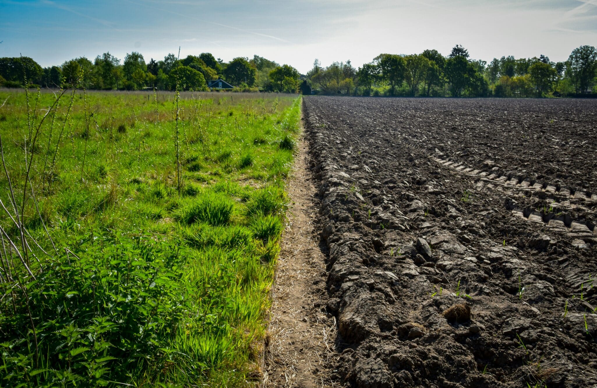 Trump Signs Executive Order to Advance Regenerative and Precision Agriculture