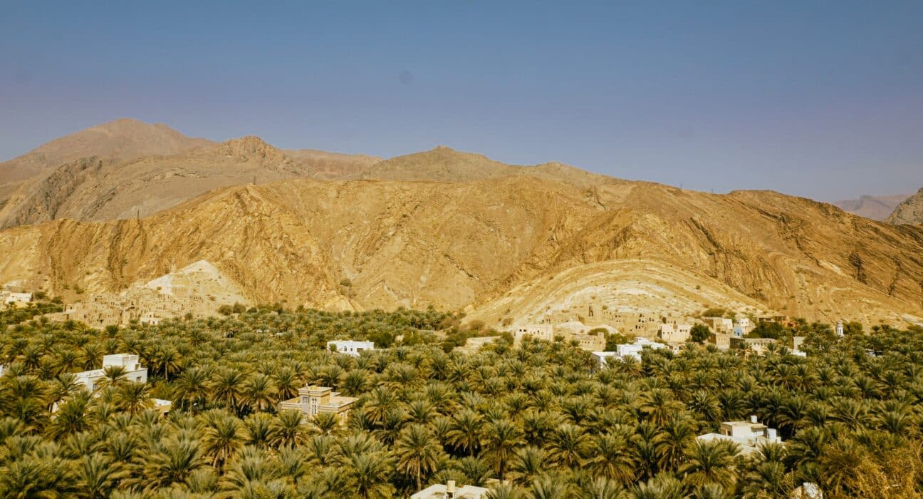 Oman's food security strategy is anchored by deepwater ports on the Arabian Sea that bypass the Strait of Hormuz entirely.