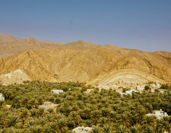 Oman's food security strategy is anchored by deepwater ports on the Arabian Sea that bypass the Strait of Hormuz entirely.