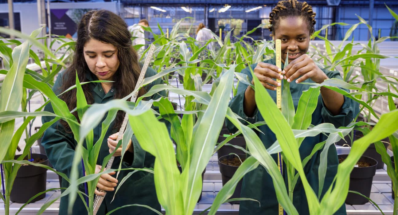 Belgian biotech company Zymofix has received €1.9 million in funding from VLAIO, the Flemish Agency for Innovation & Entrepreneurship, to support MicroFix — a €3.2 million collaborative research project with Ghent University. The three-year project, led in partnership with Prof. Tina Kyndt from the Faculty of Bioscience Engineering, will focus on building a scientific foundation for more predictable microbial product performance in agricultural applications.