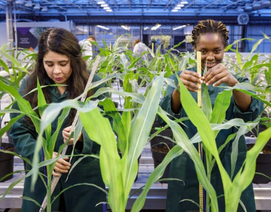 Belgian biotech company Zymofix has received €1.9 million in funding from VLAIO, the Flemish Agency for Innovation & Entrepreneurship, to support MicroFix — a €3.2 million collaborative research project with Ghent University. The three-year project, led in partnership with Prof. Tina Kyndt from the Faculty of Bioscience Engineering, will focus on building a scientific foundation for more predictable microbial product performance in agricultural applications.