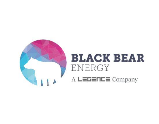 Black Bear Energy, a national commercial buyer's representative focused on onsite renewable energy, said it facilitated the energization of a new 1.29 MW solar installation developed by Dimension Energy at New York Life Investment Management's (NYLIM) 5-61 Bay Avenue facility in Elizabeth, New Jersey. The installation is expected to produce approximately 1.5 million kWh of clean energy annually.