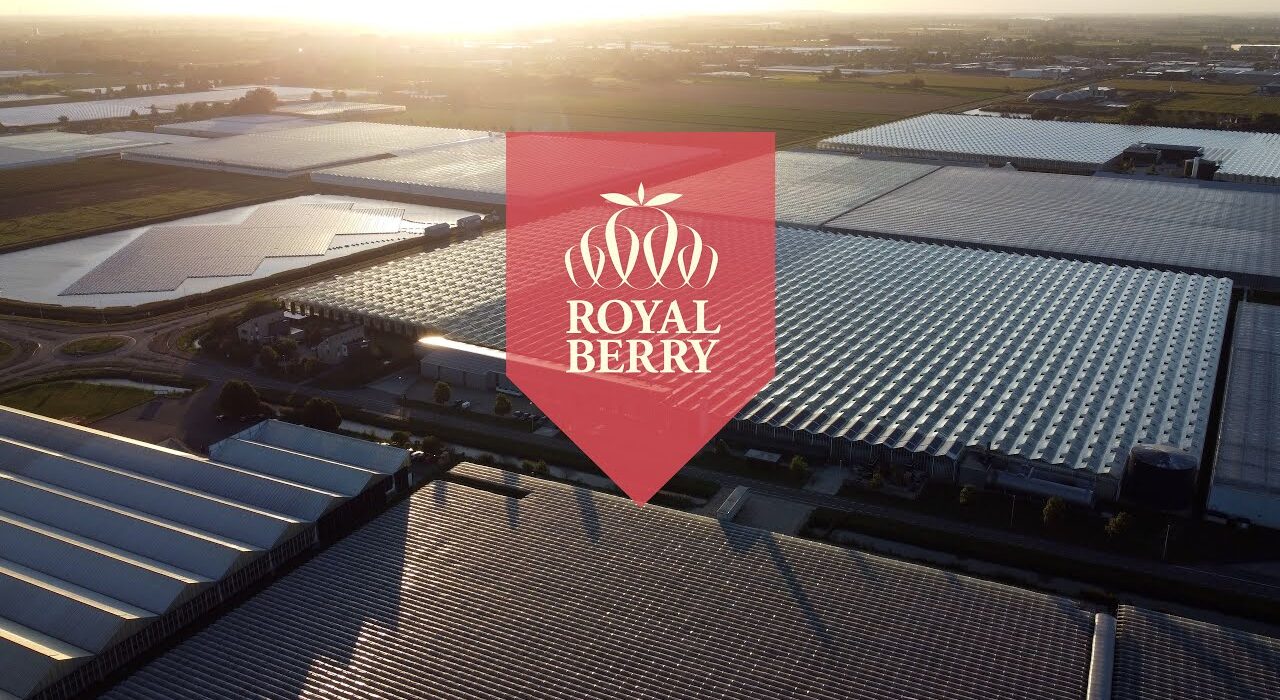Royal Berry has announced it will acquire strawberry company Dutch Berries, based in Zuilichem, effective January 1, 2027.