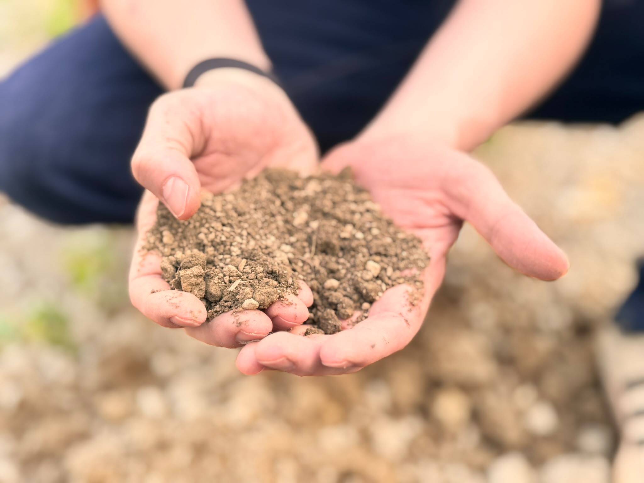 Varda Foundation open-sources SoilHive, its soil data platform, starting with Kenya, Ghana, Malawi and Tanzania.